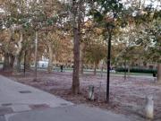 Locale comm.le/Fondo in affitto a Pisa 110 mq Rif: 1315233