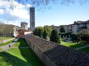 Locale comm.le/Fondo in vendita a Lucca 100 mq Rif: 1227222