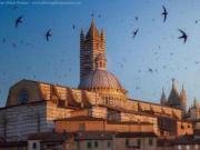 Locale comm.le/Fondo in vendita a Siena 66 mq Rif: 1393354