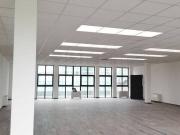 Locale commerciale in affitto a Firenze, Statuto