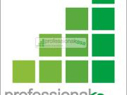 Locale commerciale in affitto a Vasto, 4 Centrale...