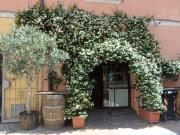 Locale commerciale in vendita a Albenga