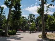 Locale commerciale in vendita a Firenze