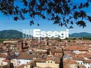 Locale commerciale in vendita a Lucca
