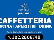 Locale commerciale in vendita a Reggio Emilia
