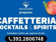 Locale commerciale in vendita a Reggio Emilia Locale commerciale in vendita a Reggio Emilia