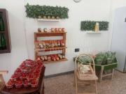 Locale commerciale in vendita a Roma