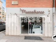 Gelateria in vendita a Roma