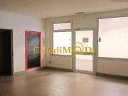 Locale commerciale in vendita, Collesalvetti stagno