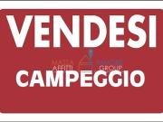 Locale commerciale in vendita in via delle pinete 382, Massa