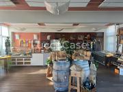 Locale commerciale/Negozio in Affitto a Capannori