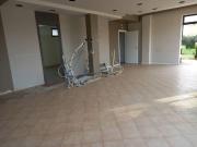 Locale commerciale/Negozio in Affitto a Crespina Lorenzana