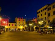 Locale commerciale/Negozio in Affitto a Pisa