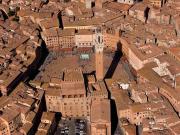 Locale commerciale/Negozio in Affitto a Siena