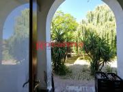 Locale commerciale/Negozio in Vendita a Collesalvetti