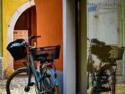 Locale commerciale/Negozio in Vendita a Teolo