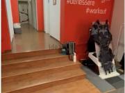 Locale in affitto di 127 m² in Corso Vittorio Emanuele...