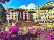 Locale in affitto di 230 m² in Largo di Torre Argentina