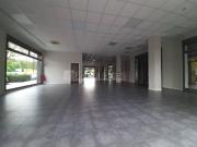 Locale in affitto di 234 m² in Via Anna Maria Enriques...