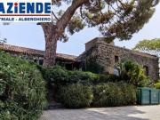 Locale in affitto di 255 m² in Via Oliva San Mauro