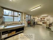 Locale in affitto di 231 m²