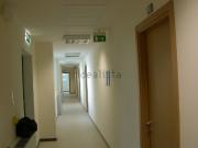 Locale in affitto di 2650 m² in Via Pietro Raimondi
