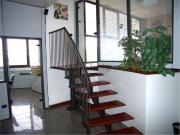 Locale in affitto di 300 m²