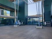 Locale in affitto di 300 m² in Via Michele Migliarini, 1