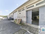 Locale in affitto di 350 m² in Via del Casale Santarelli