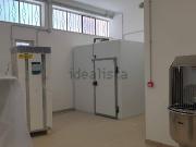 Locale in affitto di 465 m² in Via Roberto Paribeni