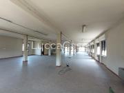 Locale in affitto di 500 m² in Via Pesciatina