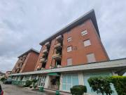 Locale in affitto di 55 m² in Via Leonida Mastrodicasa, 78