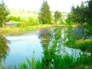 Locale in vendita di 100 m² in Strada Provinciale 32b