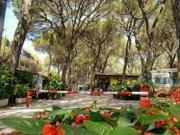 Locale in vendita di 15000 m² in Via delle Colonie, 2