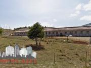 Locale in vendita di 15858 m² in Strada Provinciale 132