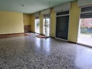 Locale in vendita di 195 m²