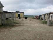 Locale in vendita di 2100 m² in Contrada Boreano