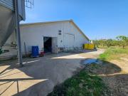 Locale in vendita di 2200 m² in Strada Ferento