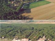 Locale in vendita di 2300 m² in Località Sant&apos Uberto, 1