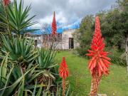 Locale in vendita di 25000 m² in Strada Provinciale 12