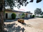 Locale in vendita di 256000 m² in Contrada Terzi, 61