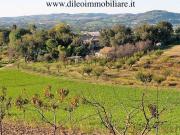 Locale in vendita di 260000 m²