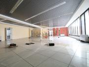 Locale in vendita di 298 m² in Via Pietro Andrea Saccardo, 1