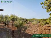 Locale in vendita di 40 m² in Contrada Turi