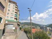 Locale in vendita di 420 m² in Via di Pino