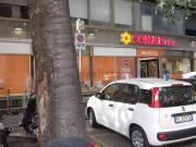 Locale in vendita di 500 m² in Via Circondaria