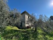 Locale in vendita di 85 m² in Strada dei Mandrilli