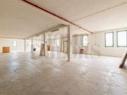 Locales Almeirim Santarém 2080 221 DS94800675 Locales Almeirim Santarém 2080 221 DS94800675