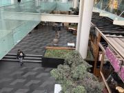 LOCALES COMERCIALES EN PASEO ARCOS BOSQUES