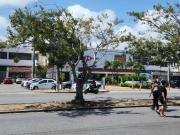 LOCALES COMERCIALES EN RENTA PLAZA DEL ANGEL AV. LA LUNA
